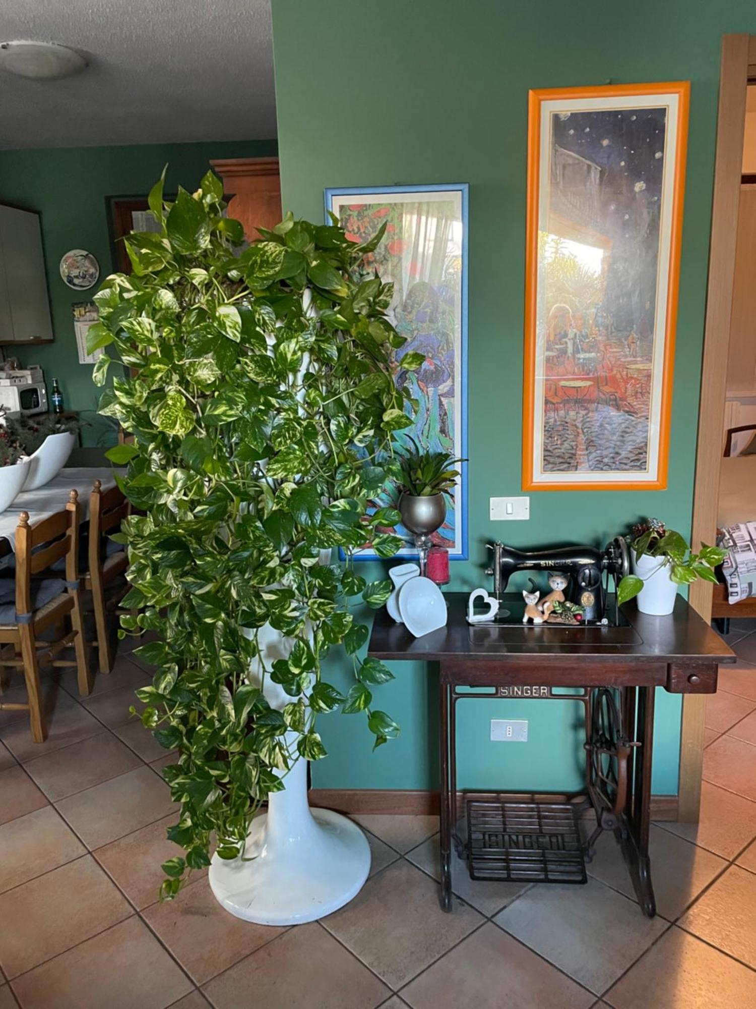 Il Giardino Di Emilia - Intero Appartamento In Villa Con Giardino Privato E Piscina Estiva Pontirolo Nuovo Bagian luar foto