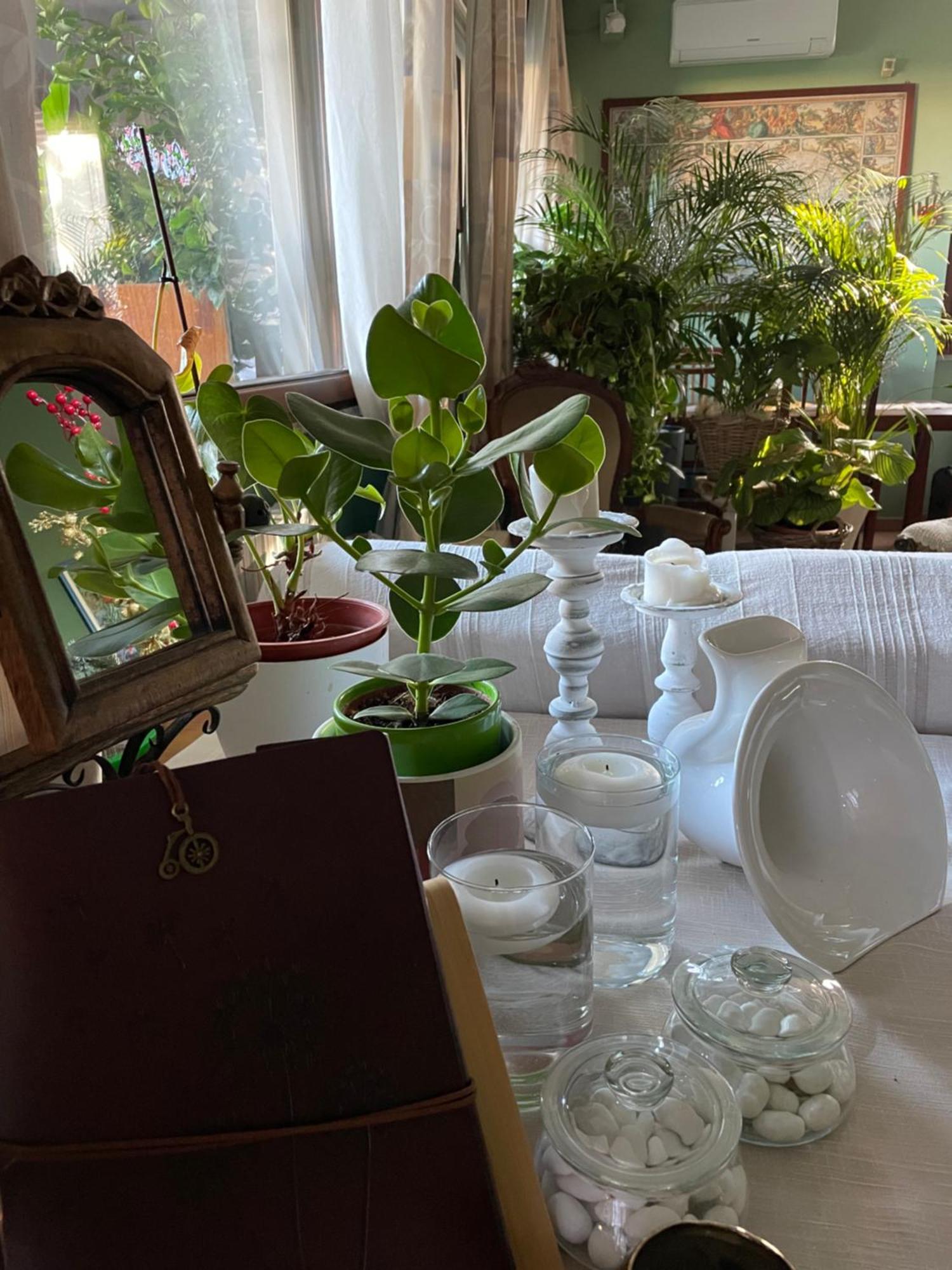 Il Giardino Di Emilia - Intero Appartamento In Villa Con Giardino Privato E Piscina Estiva Pontirolo Nuovo Bagian luar foto