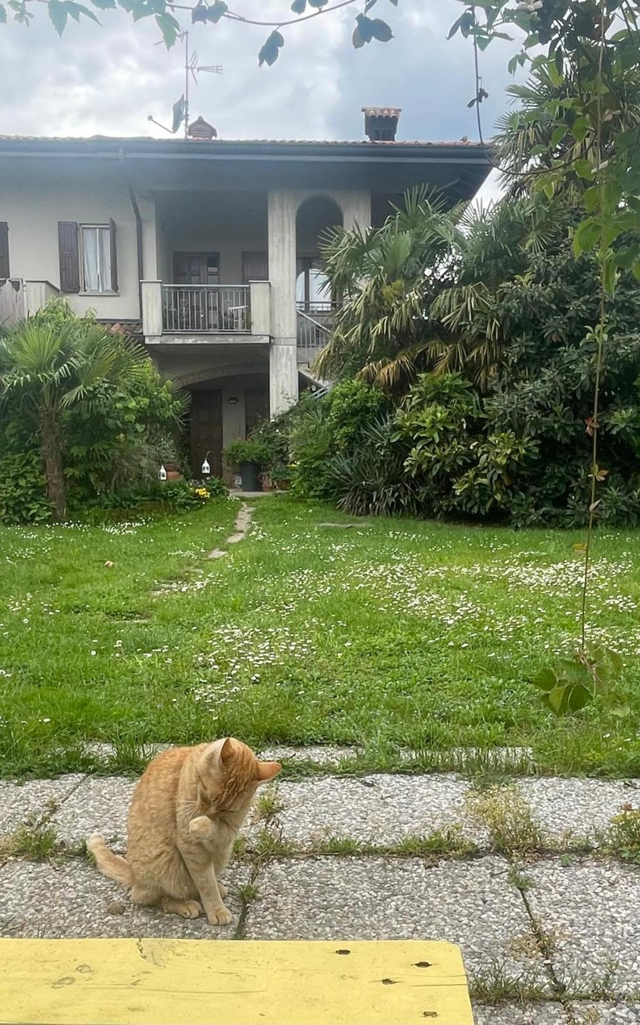 Il Giardino Di Emilia - Intero Appartamento In Villa Con Giardino Privato E Piscina Estiva Pontirolo Nuovo Bagian luar foto